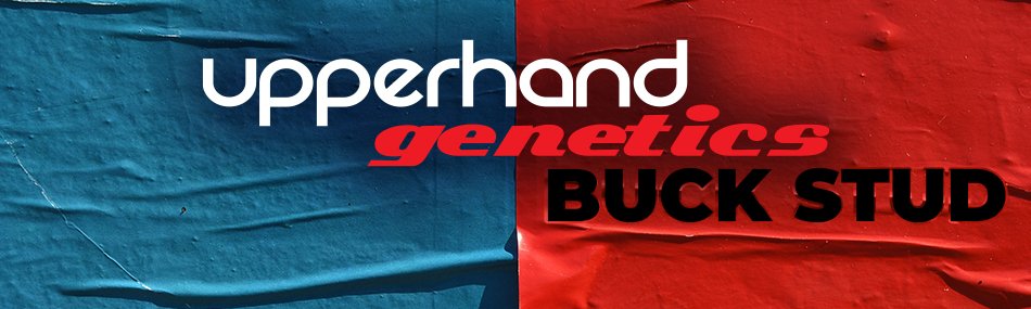 Upperhand Genetics Buck Stud