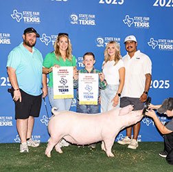 champion landrace gilt
2025 Pan American TX State Fair