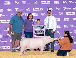 Reserve Chester Gilt
2025 Team Purebred Music Drive