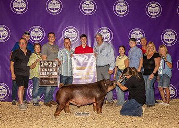 Upperhand Winners