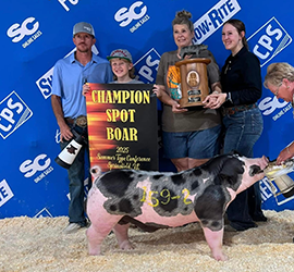 Upperhand Winners