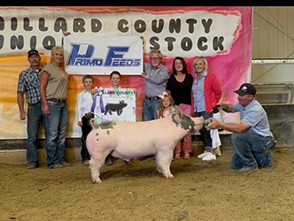 Grand champion market hog
2025 Millard County-UT