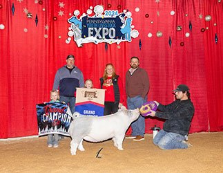 Grand Gilt2024 PAYLE