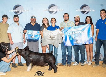 GRAND CHAMPION PROSPECT BARROW
2025 CYE