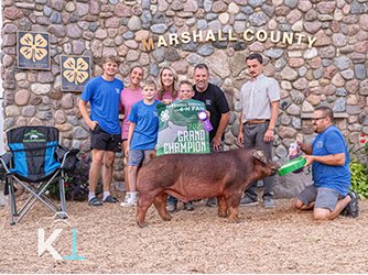 Grand champion barrow
2025 Marshall County-IN