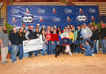 Reserve Grand Market 2024 Amarillo Classic