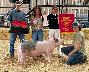 Reserve grand market hog
2025 San Mateo County-CA