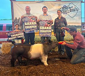 Grand champion market hog
2026 Berks County-PA