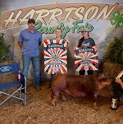 Grand champion gilt
2026 Harrison County-IN