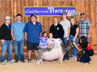Reserve division 2 crossbred gilt
2026 CA State Fair