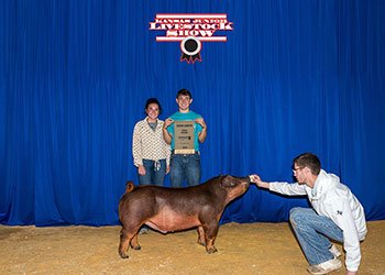 reserve duroc market hog
2026 KJLA