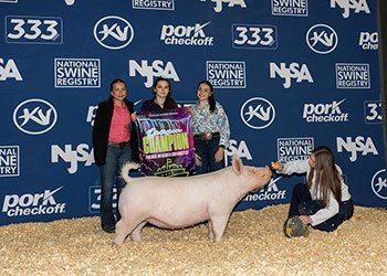 Champion purebred influenced gilt
2026 NJSA Eastern Regional