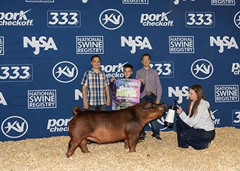Reserve Purebred Influenced Gilt
2026 NJSA Eastern Regional