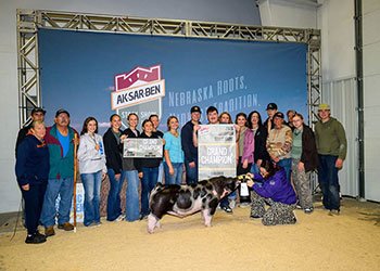grand champion purebred market hog & Champion Spot
2026 AKSARBEN