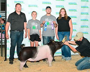 3rd overall breeding gilt
2026 MN State Fair