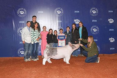 RESERVE LIGHT CROSSBRED GILT
2026 AMERICAN ROYAL