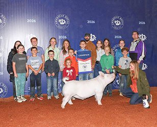 CHAMPION YORKSHIRE BARROW
2026 American Royal