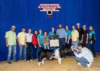 GRAND CHAMPION MARKET HOG & CHAMPION CROSSBRED
2026 KJLA