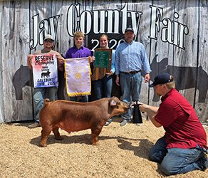 Reserve grand barrow
2026 Jay county -IN