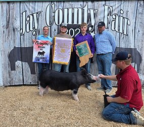 Reserve grand gilt
2026 Jay County-IN