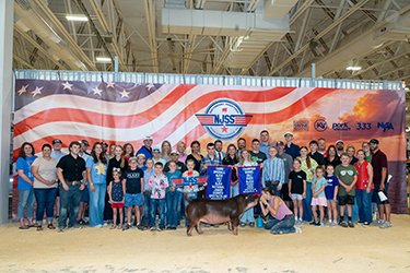 3rd overall nsr purebred gilt & champion duroc gilt
2026 njss